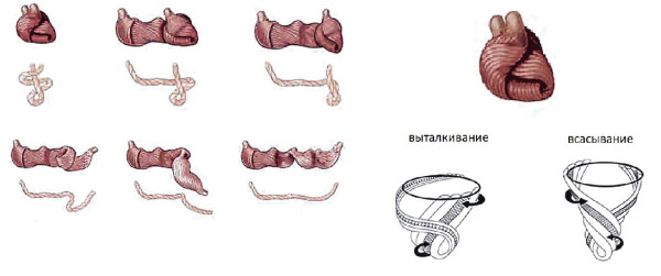 Image link