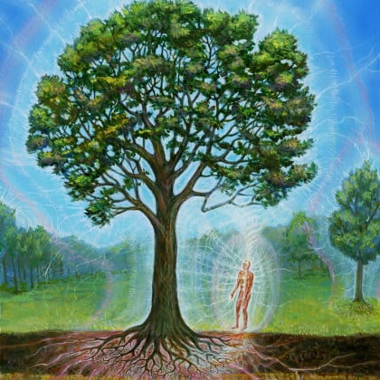 Image link