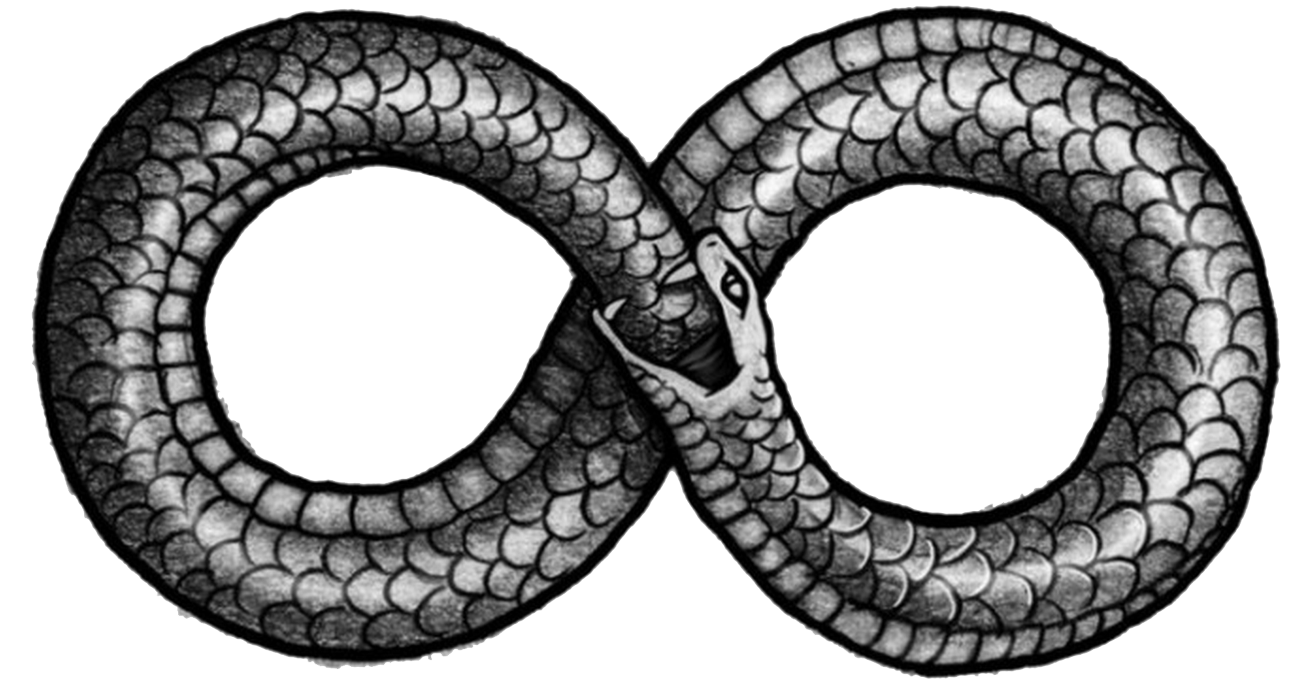 Image link