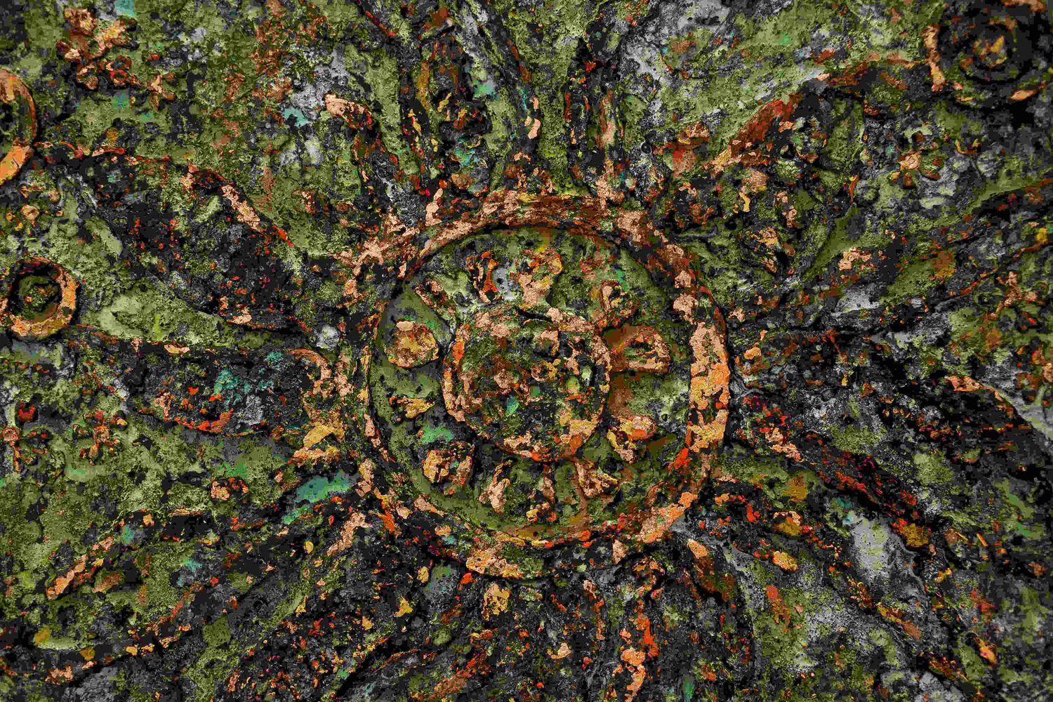 Image link